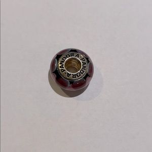 Retired Pandora charm